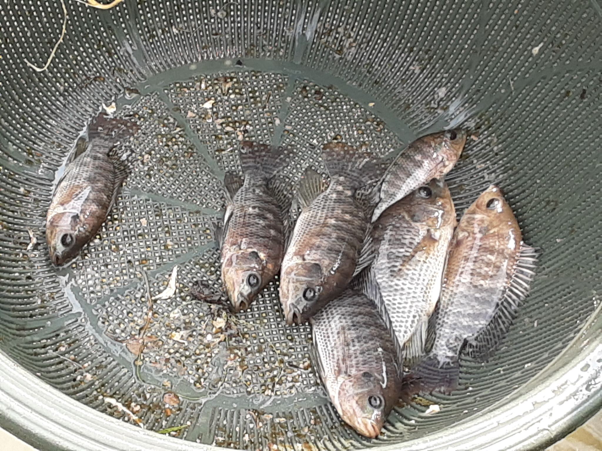 Description Produit 2